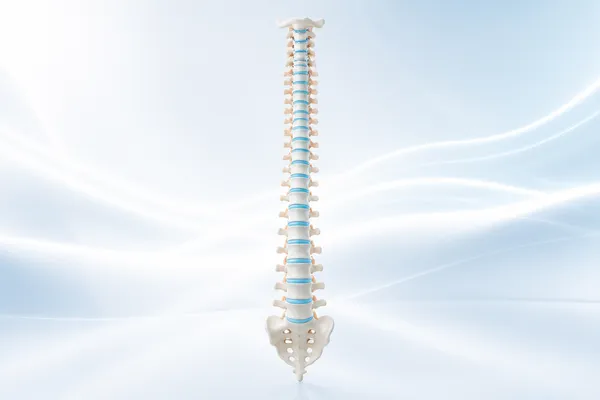 Render 3D de columna vertebral completa y bien alineada, concepto de quiropráctica